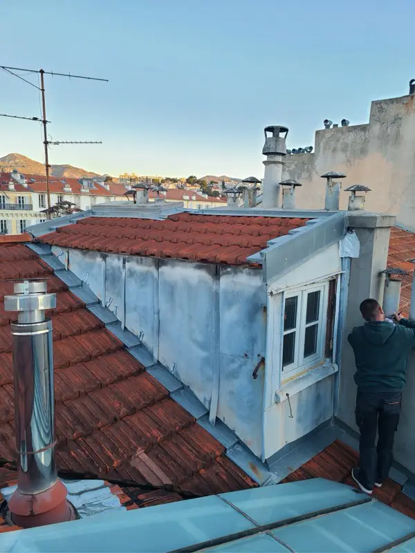 Grand chien assis avant travaux à Nice, bardage en zinc ancien taché et piqué par la corrosion