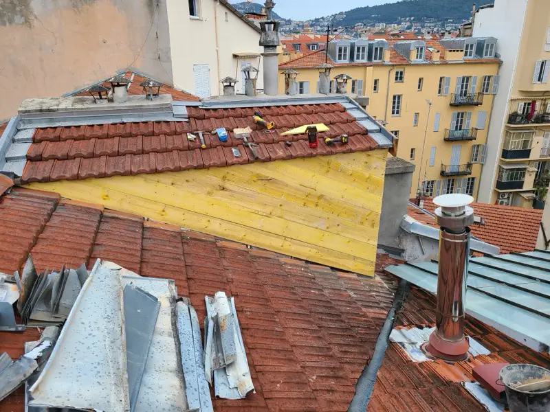 Voligeage neuf posé sur la joue d'un chien assis à Nice, ancien zinc déposé sur la toiture